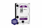 HD WD PURPLE - 10TB WD101PURP  - Intelbras
